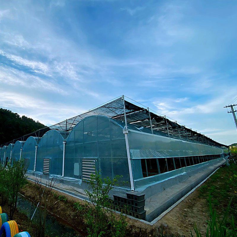 蘆山溫室工程